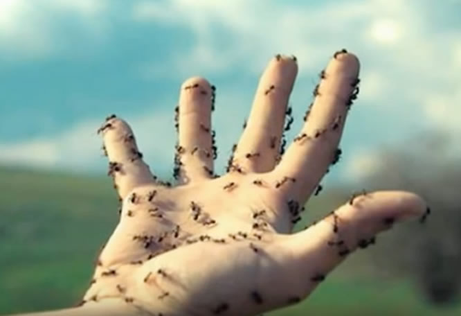 Cómo evitar que se te duerman las manos montando en bici. 